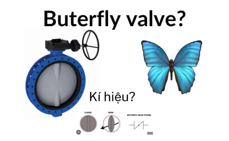Van bướm tên tiếng anh là gì